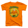 DC - Aquaman Toddler Short Sleeve