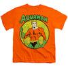 DC - Aquaman Youth Short Sleeve