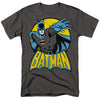 Dc - Batman Adult Regular Fit Short Sleeve