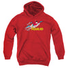 DC - Aqualad Youth Hooded Sweatshirt