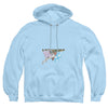 DC - Fickle Adult Pullover Hoodie