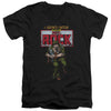 DC - Sgt Rock Adult Slim Fit V Neck Cotton