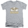 DC - Fly By Adult Slim Fit V Neck Cotton