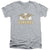 DC - Fly By Adult Slim Fit V Neck Cotton