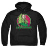 DC - Lex Luthor Adult Pullover Hoodie