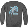 DCO - Desaturated Batman Adult Crewneck Sweatshirt