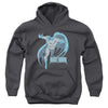DCO - Desaturated Batman Youth Hooded Sweatshirt