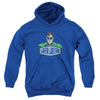 DCO - Green Lantern Sign Youth Hooded Sweatshirt
