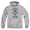 DC - Money Adult Pullover Hoodie