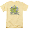 DC - Riddler Stars Adult Regular Fit Short Sleeve