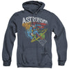 DC - Astronomy Adult Heather Hoodie
