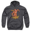 Flash - Whirlwind Youth Hooded Sweatshirt