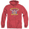 Dc - Flying Through Adult Heather Hoodie