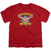 Dc - Flying Through Youth Short Sleeve