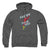 Flash - Faster Than You Adult Pullover Hoodie