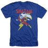 DC - Lets Fly Adult Regular Fit Heather Short Sleeve
