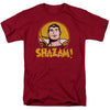 DC - Shazam Circle Adult Regular Fit Short Sleeve