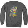 DC - Spinning Adult Crewneck Sweatshirt