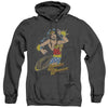 DC - Spinning Adult Heather Hoodie