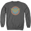 Dc - Ww Vintage Emblem Adult Crewneck Sweatshirt
