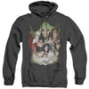 Dcr - Justice League Dark Adult Heather Hoodie