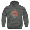 Ford Mustang - Mustang Circle Youth Hooded Sweatshirt