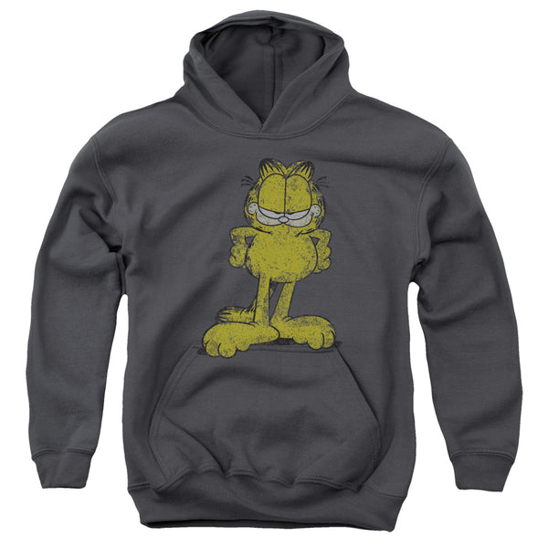 Garfield - Big Ol Cat Youth Hooded Sweatshirt