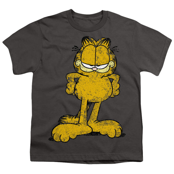 Garfield - Big Ol Cat Youth Short Sleeve