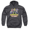 Garfield - Beyond Youth Hooded Sweatshirt