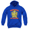 Garfield - Garfield Youth Hooded Sweatshirt