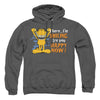 Garfield - Smiling Adult Pullover Hoodie
