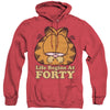 Garfield - Life Begins At Forty Adult Heather Hoodie