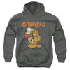 Garfield - Garfield The Game Youth Hooded Sweatshirt