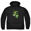 Green Lantern - Lantern Light Adult Pullover Hoodie