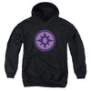 Green Lantern - Sapphire Symbol Youth Hooded Sweatshirt