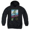 Green Lantern - Box Art Youth Hooded Sweatshirt