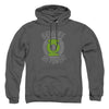 Green Lantern - Beware Adult Pullover Hoodie