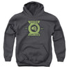 Green Lantern - Section Youth Hooded Sweatshirt