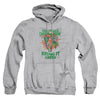 Green Lantern - Keeping It Green Adult Pullover Hoodie