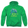 Green Lantern - Im Bright Adult Pullover Hoodie