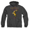 Game Of Thrones - House Baratheon Sigil Adult Heather Hoodie