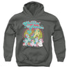 My Little Pony Retro - Chillin With My Ponies Youth Hooded Sweatshirt