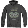 Dungeons And Dragons - Dangerous To Go Alone Adult Heather Hoodie