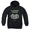 Dungeons And Dragons - Dangerous To Go Alone Youth Hooded Sweatshirt