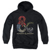 Dungeons And Dragons - Dragons In Dragons Youth Hooded Sweatshirt