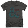 Dungeons And Dragons - Ampersand Classes Adult Slim Fit V Neck Cotton