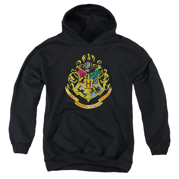 Harry Potter - Hogwarts School Crest Youth Hooded Sweatshirt