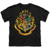 Harry Potter - Hogwarts School Crest Youth Short Sleeve