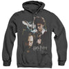 Harry Potter - Harry And Sirius Adult Heather Hoodie