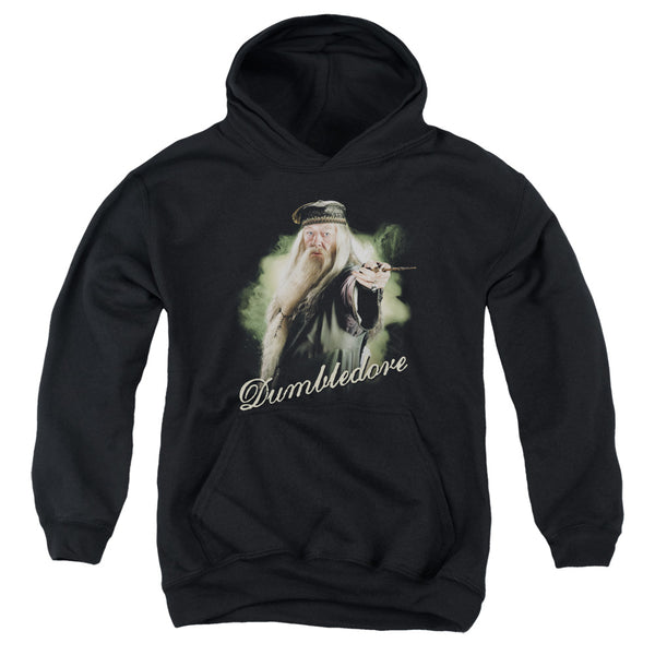 Harry Potter - Dumbledore Wand Youth Hooded Sweatshirt